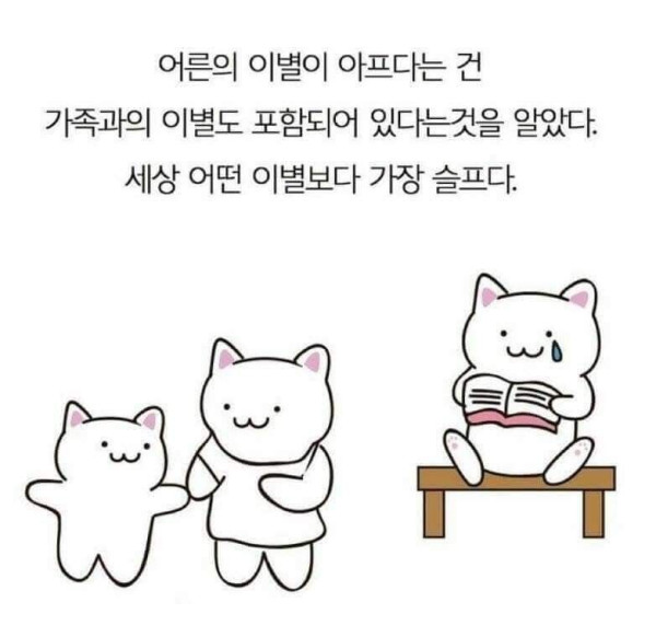 엄마가 돌아가셨다