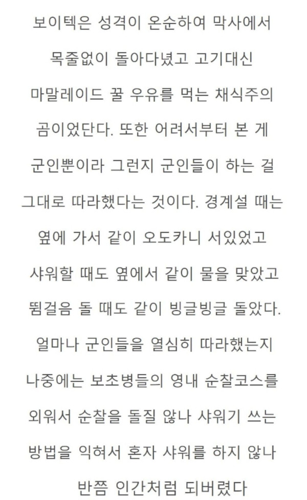 세계 최초 군인이었던 곰